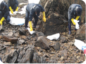 �츮�� �뺧�� �ĺ�